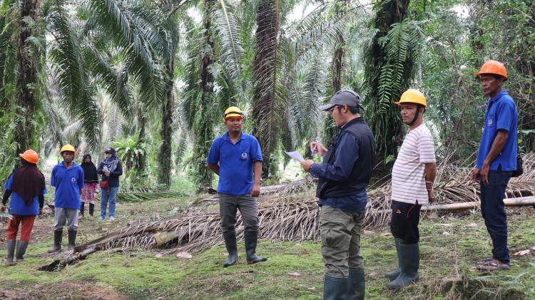 Selamat Datang di Provinsi Kalimantan Barat